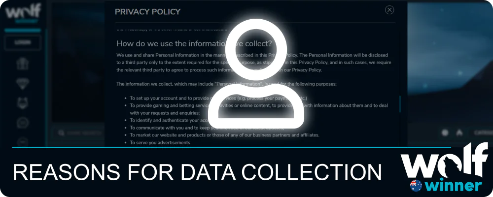 Why Wolf Winner collects information about users