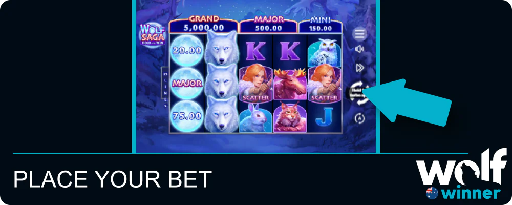 Start playing at Wolf Winner Casino